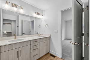 Full bathroom with light wood-style flooring and double vanity