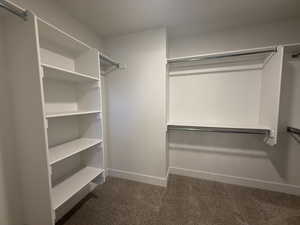 Walk in closet featuring dark colored carpet