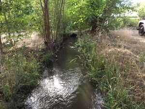 View of local wilderness featuring a large body of water