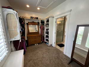 Spacious closet featuring carpet floors