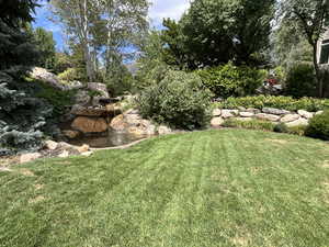 View of green lawn with a small pond