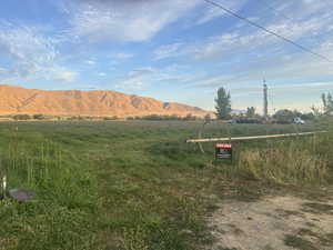 View of yard featuring a mountain view and a view of rural / pastoral area