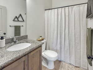 Bathroom with vanity, light wood-style floors, and curtained shower