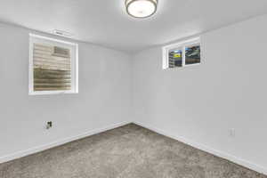 Basement with a textured ceiling and carpet floors