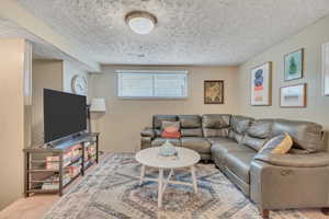 Downstairs Family Room