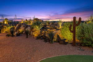 View of yard at dusk