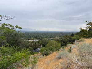 View of mountain backdrop featuring a heavily wooded area