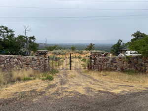 View of yard featuring a gate and driveway