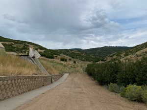 View of road