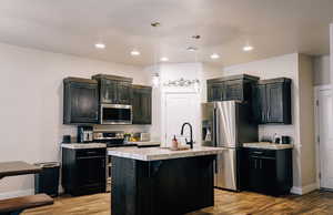 Kitchen with appliances with stainless steel finishes, pendant lighting, light wood finished floors, a center island with sink, and dark cabinetry