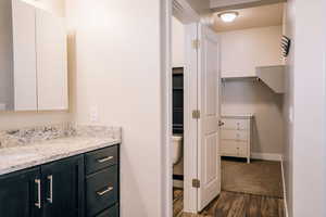 Bathroom with dark wood-style floors and vanity