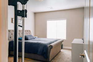 Bedroom with carpet and baseboards