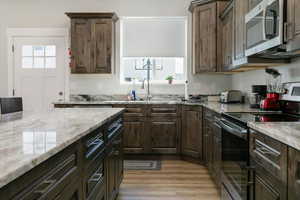 Kitchen featuring stainless steel appliances, healthy amount of natural light, dark brown cabinetry, and light wood-style floors