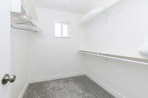 Walk in closet featuring light colored carpet