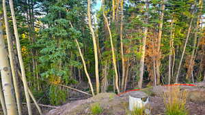 View of undeveloped land