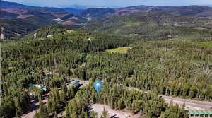 View of property location featuring a mountainous background and a forest