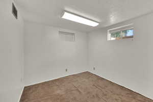 Below grade area with carpet floors and a textured ceiling