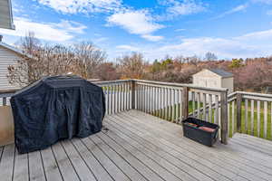 Wooden terrace featuring a shed and grilling area