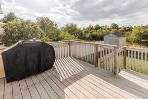 Wooden terrace with a shed and a grill