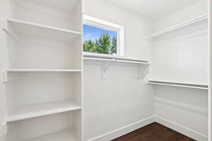 Walk in closet with dark wood-style flooring