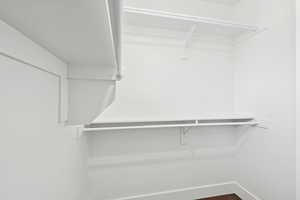 Walk in closet with dark wood-type flooring