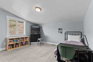 Carpeted bedroom featuring a textured ceiling and lofted ceiling