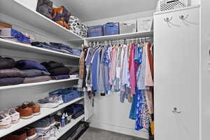 View of walk in closet