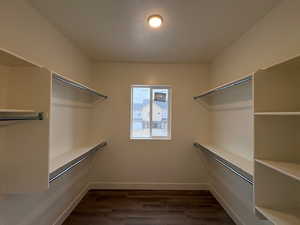 Walk in closet featuring dark wood-style flooring