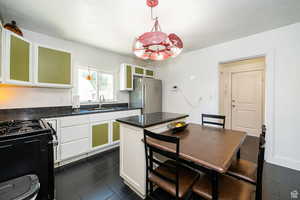 Kitchen freestanding refrigerator, gas stove