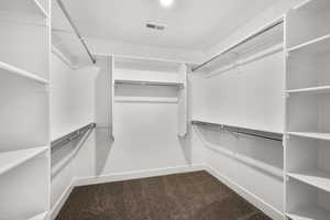 Spacious closet with dark colored carpet