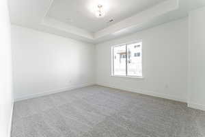 Carpeted spare room with a tray ceiling