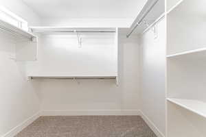 Spacious closet featuring light carpet