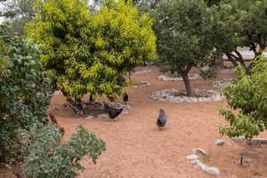 View of community