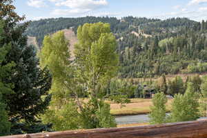 Aerial view of property's location featuring a heavily wooded area and a nearby body of water