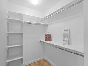 Spacious closet with light wood-style flooring