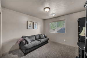Living area featuring carpet and a textured ceiling