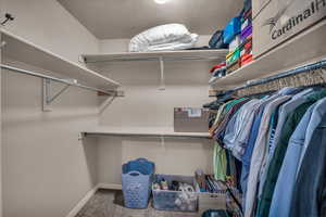 Walk in closet with carpet