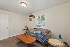 Carpeted living area featuring a textured ceiling and baseboards