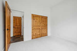Unfurnished bedroom featuring carpet flooring and a closet