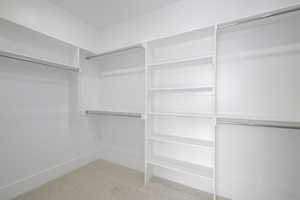 Spacious primary closet featuring light colored carpet
