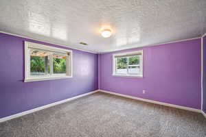 Unfurnished room featuring a textured wall, carpet floors, and a textured ceiling