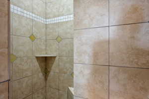 Bathroom view of tiled shower