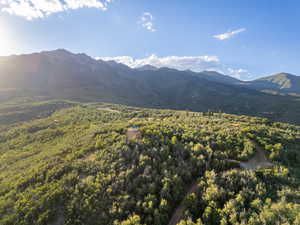 Mountain view featuring a heavily wooded area