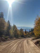 View of dirt / gravel road featuring a forest view