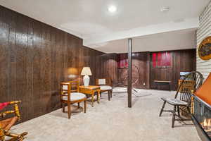 Living area featuring wooden walls, carpet flooring, and a textured ceiling
