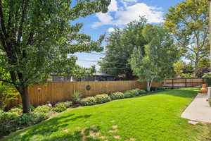 View of fenced backyard