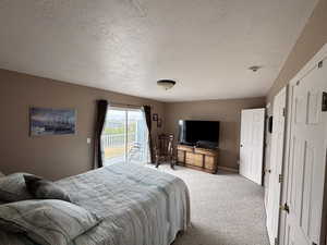Carpeted bedroom with access to exterior and a textured ceiling