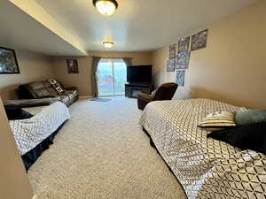 Bedroom featuring light colored carpet, access to outside, and a textured ceiling