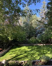 View of green lawn
