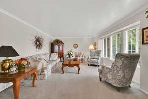 Living area featuring ornamental molding and light carpet